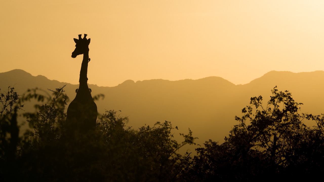 Africa destinations