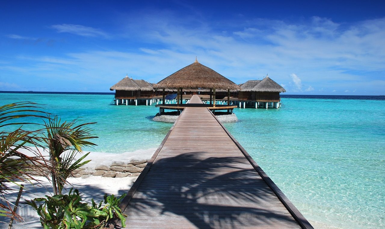 All-Inclusive 4