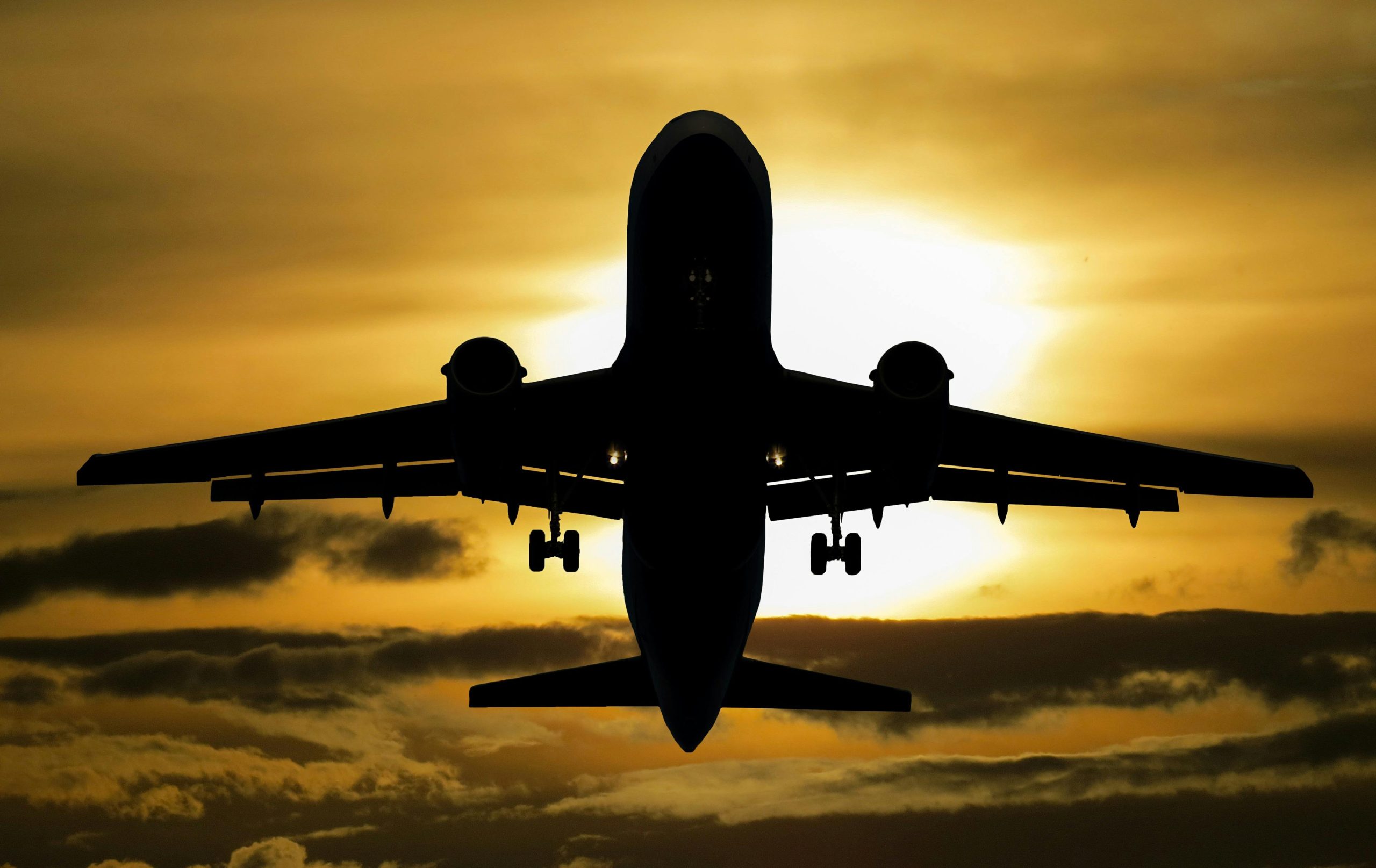 forms_travel insurance